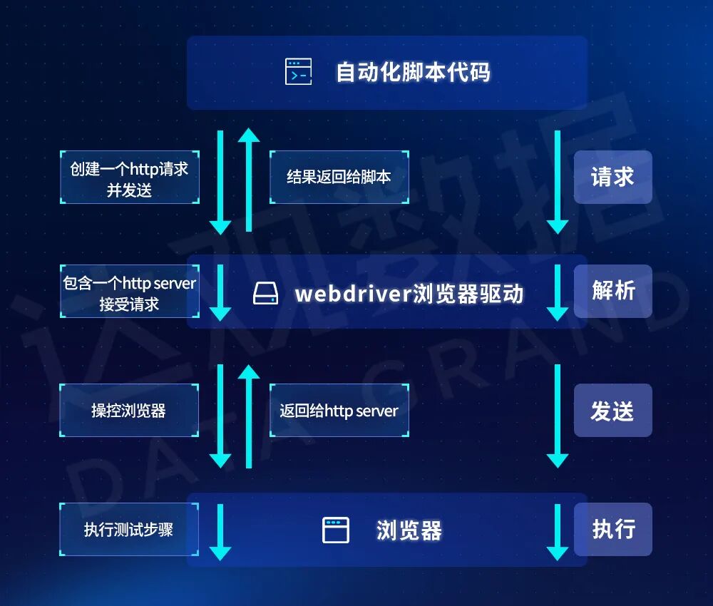 图6 Selenium执行过程